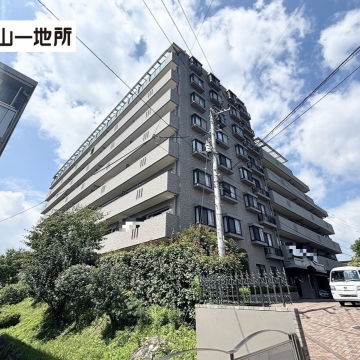 ナイスアーバンステイツ柏木