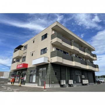 サゥーヂビバ荒井