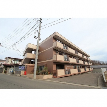 グローバル泉