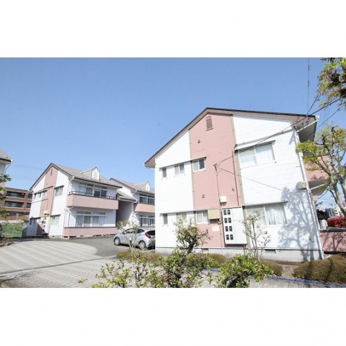 フレッシュ・イン・イズミ