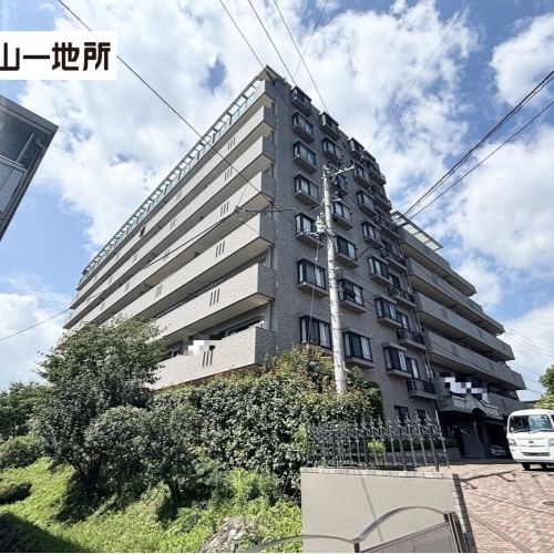 ナイスアーバンステイツ柏木