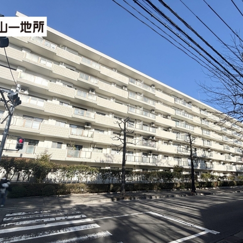 パシフィック虹の丘