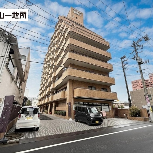 朝日プラザ五橋IV